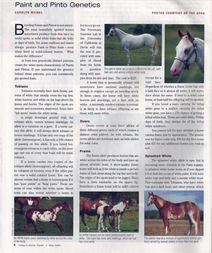 Horse Trader magazine article in horse color genetics